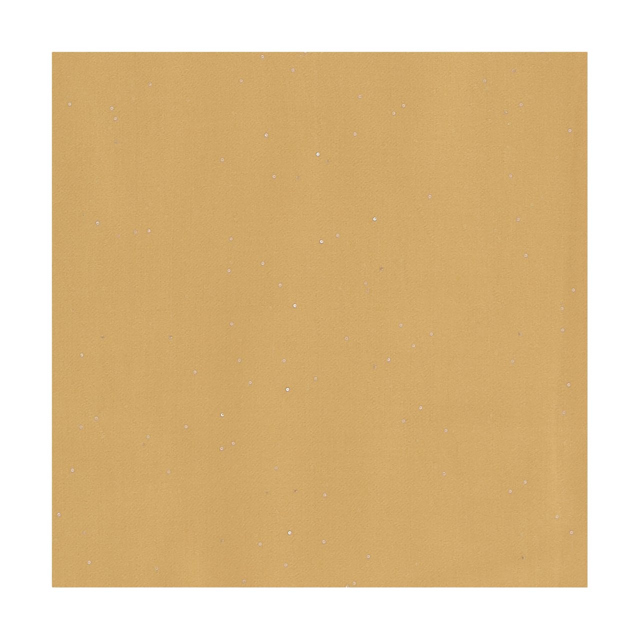 FALIERO SARTI Raissa Scarf Bruin