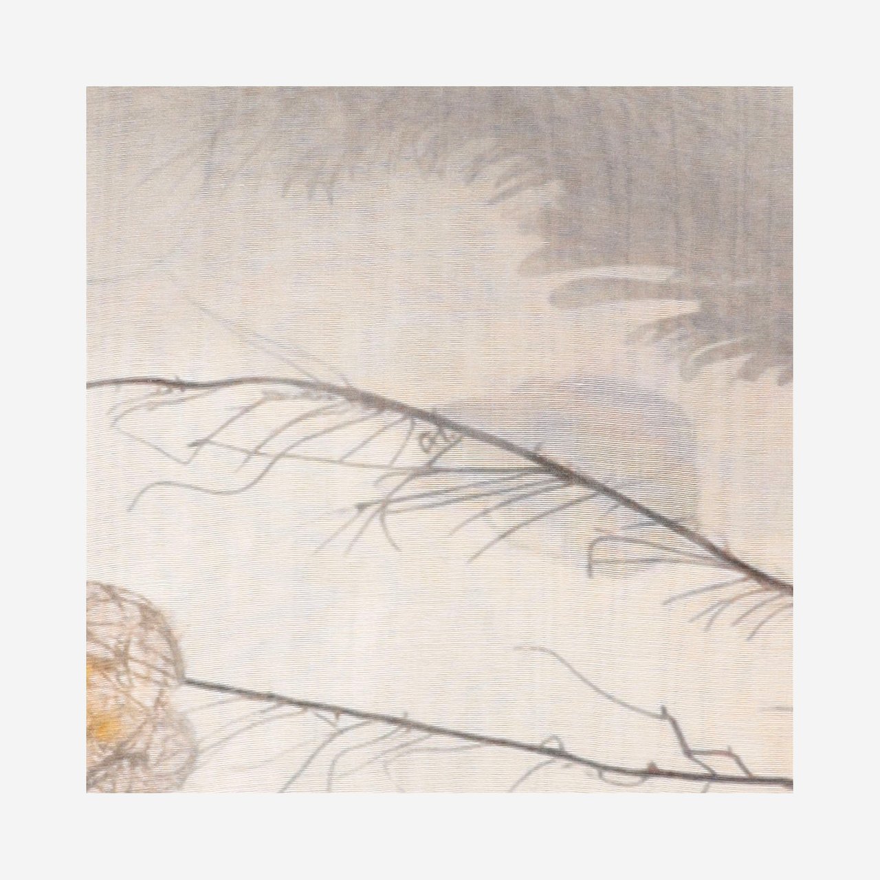 FALIERO SARTI Rectangular Modal Blend Scarf With Fringed Edges And All-Over Pattern Wit