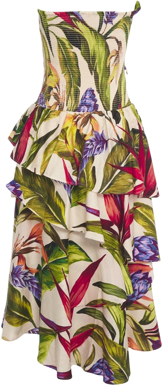 FARM Rio Maxi dress with floral print Divers
