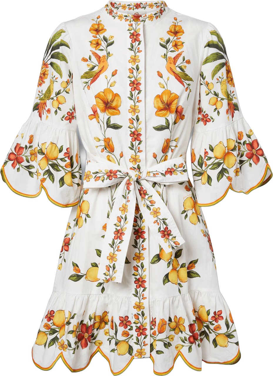 FARM Rio LEMON BOUQUET MINI DRESS Wit