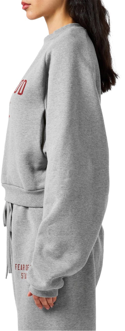 Fear of God Essentials Logo Fleece Cropped Sweatshirt Grijs