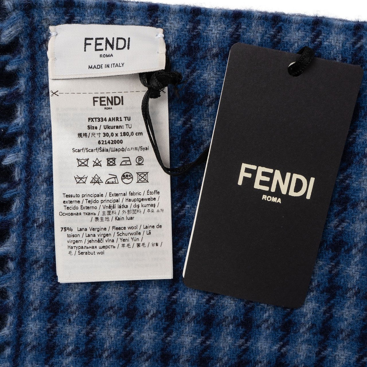 Fendi Fendi Emblem Vichy Reversible Wool Schal Scarf Blauw