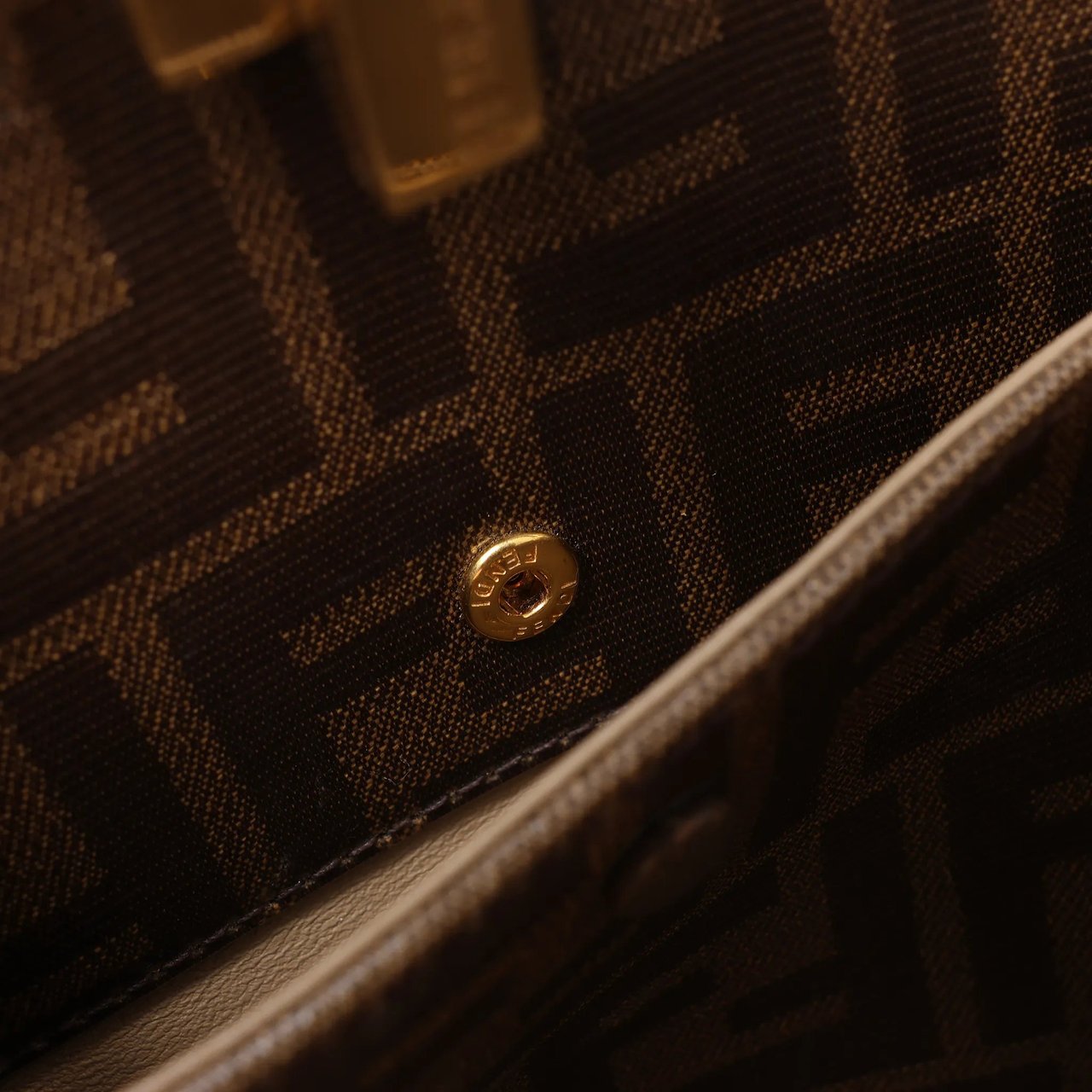 Fendi Peekaboo X-light Leather 2Way Handbag in Brown 8BN310 Bruin
