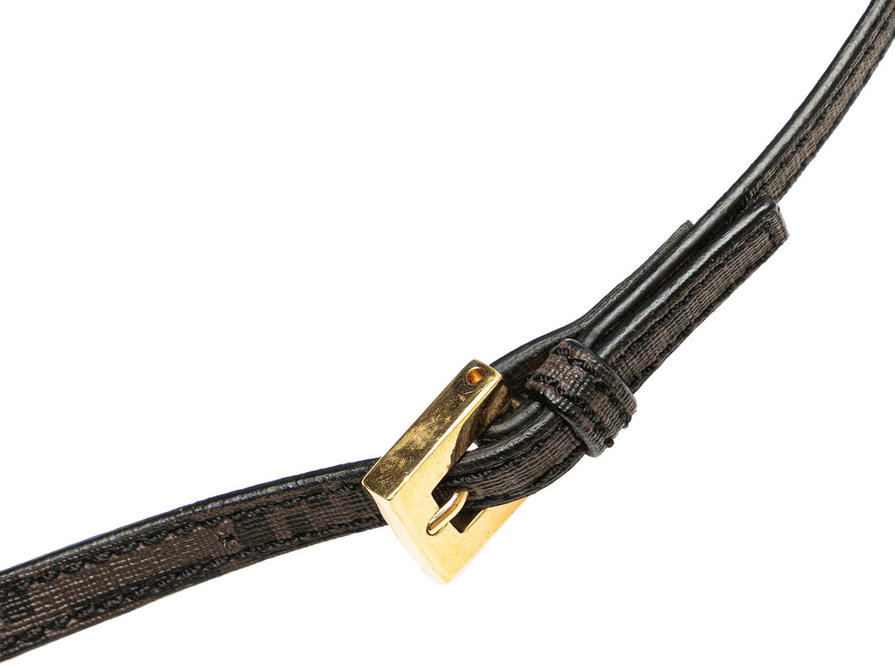 Fendi Zucchino Spalmati Crossbody Bruin