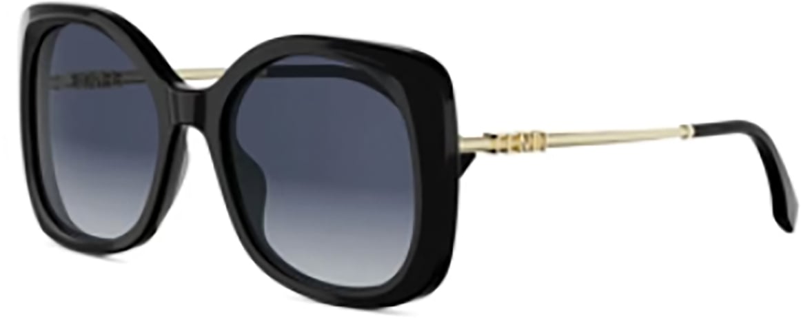 Fendi Fendi FE40201I Bruin
