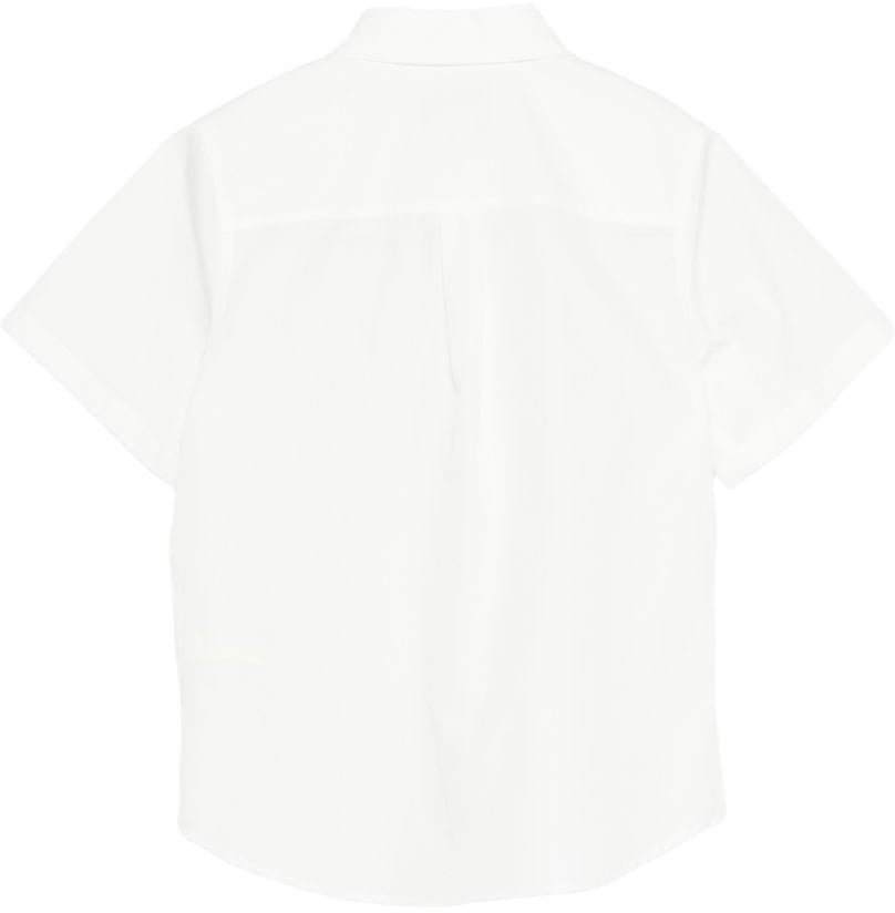 Fendi Shirts Divers Divers