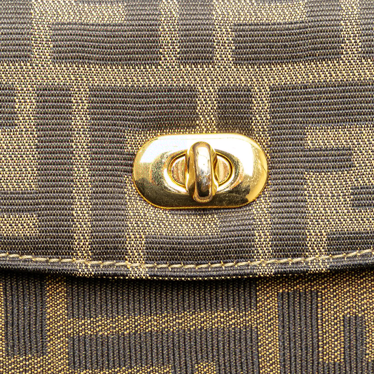 Fendi Zucca Canvas Handbag Bruin