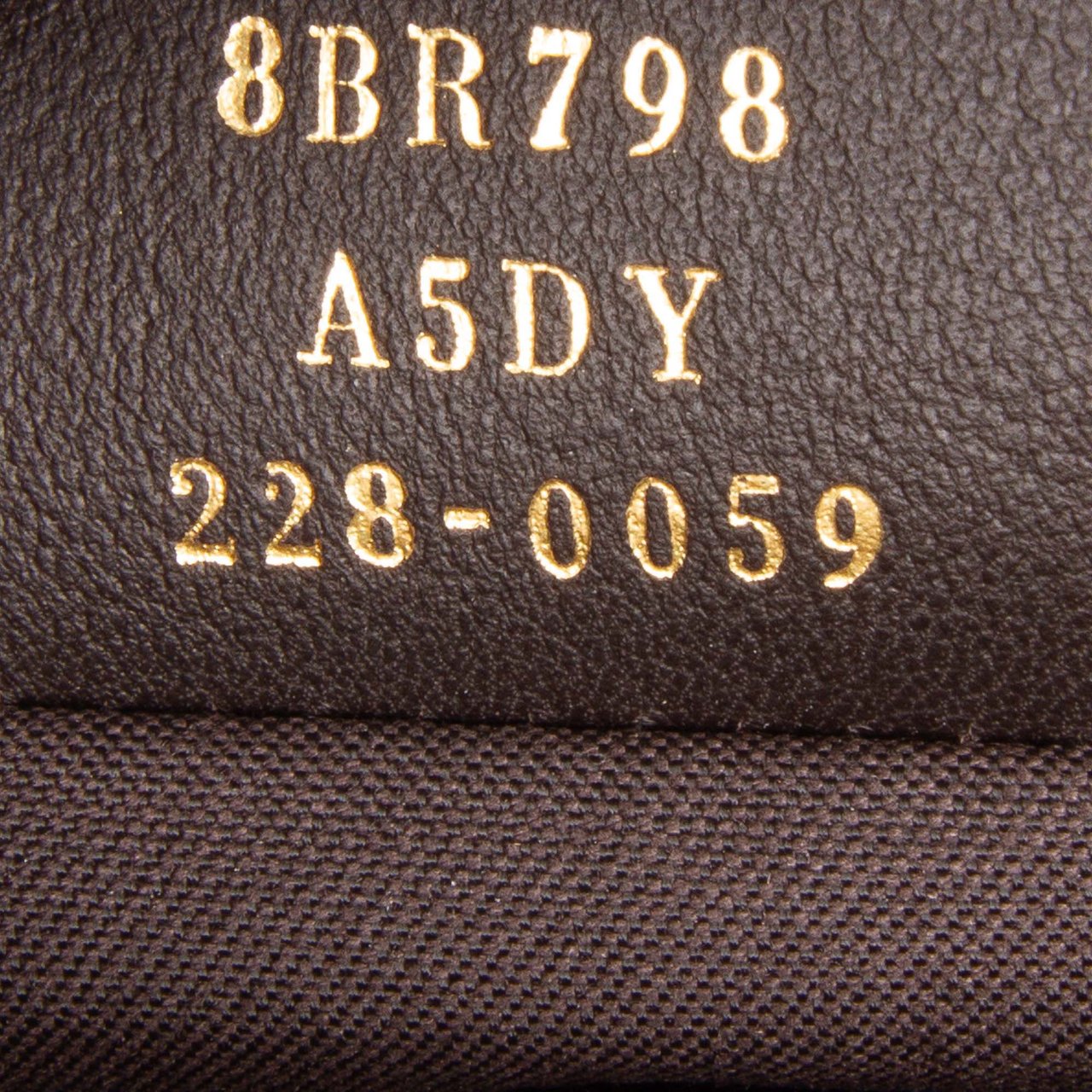 Fendi Small Leather Fendigraphy Hobo Bruin