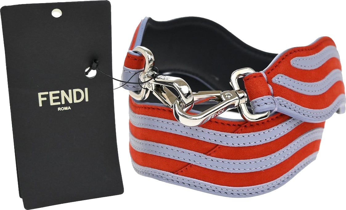 Fendi Strap You Shoulder Strap Leather Divers