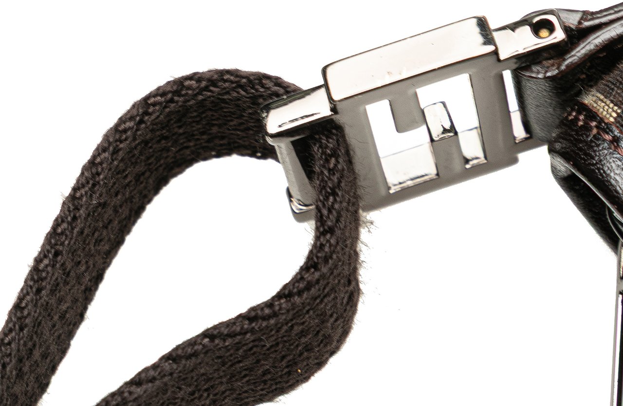 Fendi Zucchino Canvas Crossbody Bruin