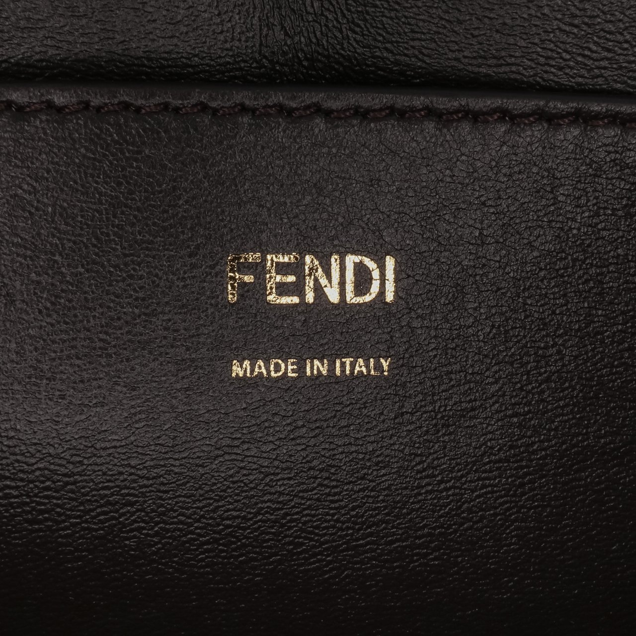 Fendi Calfskin Vitello King Nubuck Pequin Karligraphy Pocket Shoulder Bag Bruin