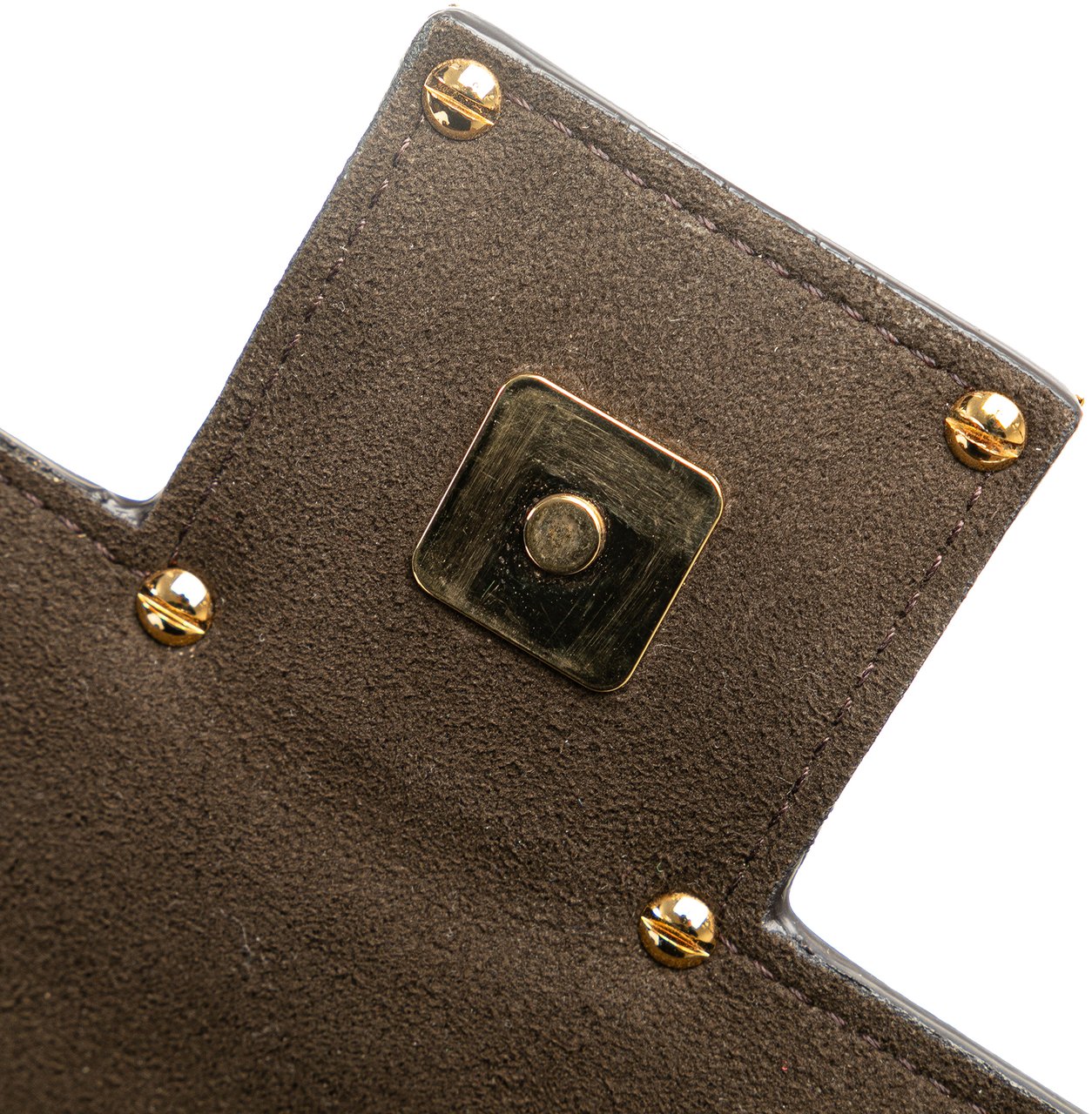Fendi Leather Crystal Fab Crossbody Bruin