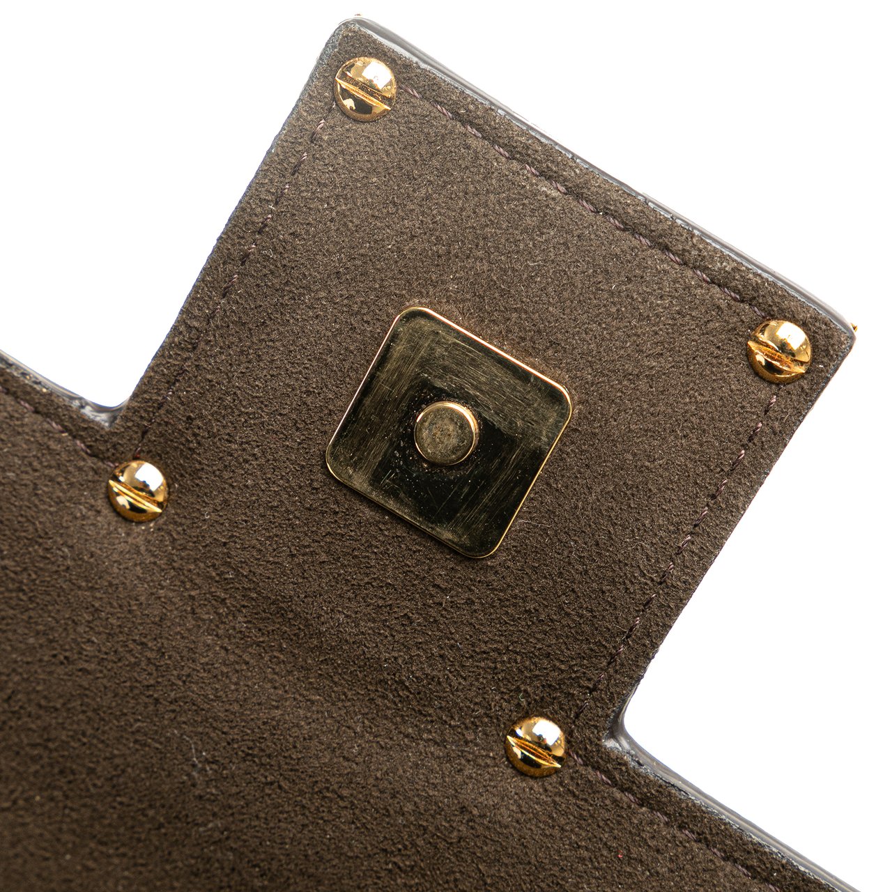 Fendi Leather Crystal Fab Crossbody Bruin