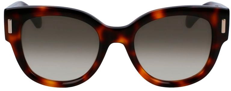 Ferragamo Brown Acetate Sunglasses Bruin