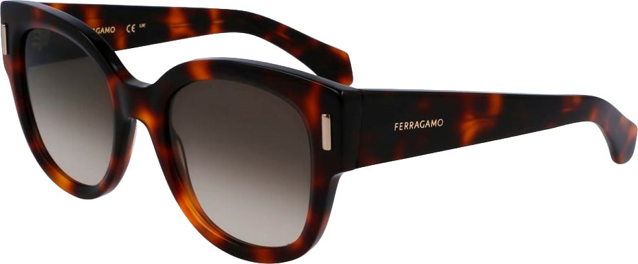 Ferragamo Brown Acetate Sunglasses Bruin