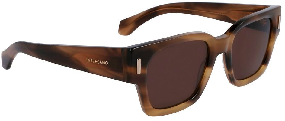 Ferragamo Brown Acetate Sunglasses Bruin
