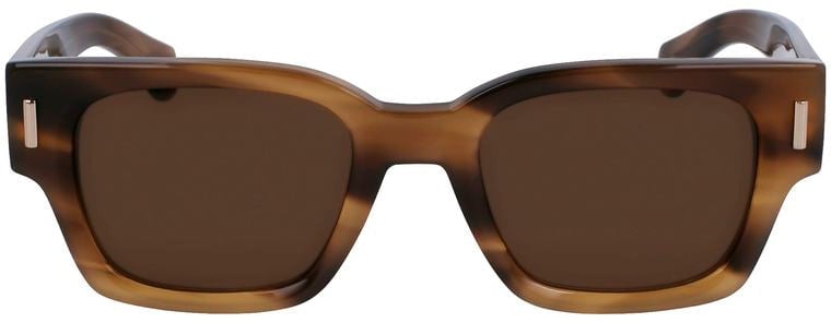 Ferragamo Brown Acetate Sunglasses Bruin