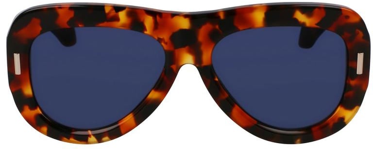 Ferragamo Brown Acetate Sunglasses Bruin