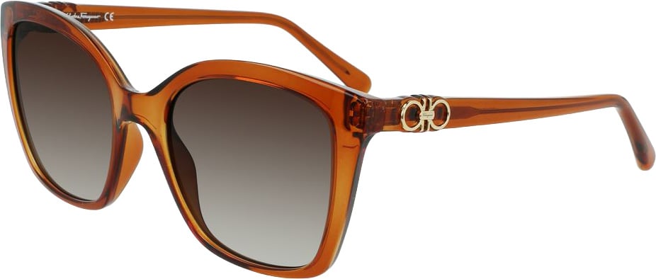 Ferragamo Brown Injected Sunglasses Bruin