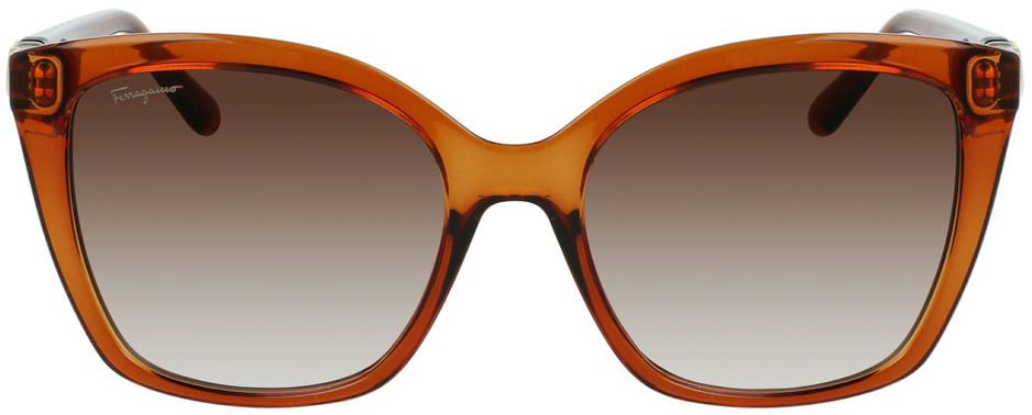 Ferragamo Brown Injected Sunglasses Bruin