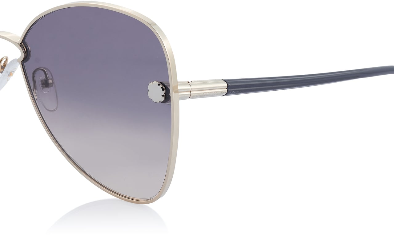Ferragamo Sonnenbrille Goud