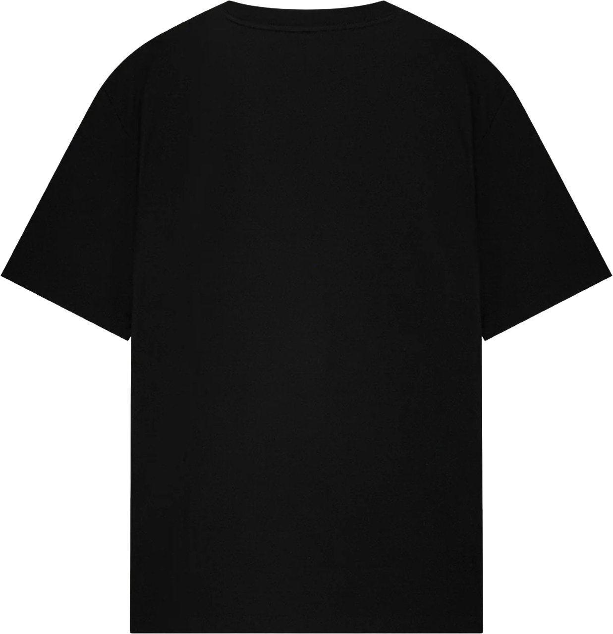 Filling Pieces 422520500167 T-shirts Zwart T-shirt Gowtu Tonal Zwart