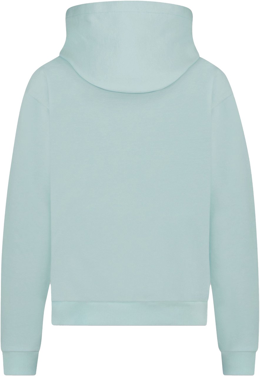 FLÂNEUR Tortuous Hoodie | Blue Blauw