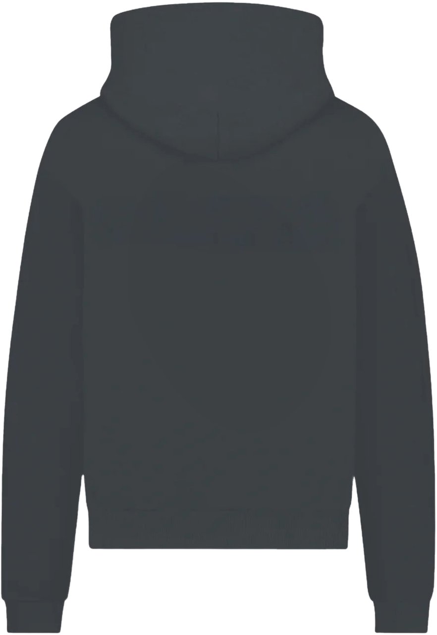 FLÂNEUR STARDOME PRINT WASHED HOODIE BLACK Zwart