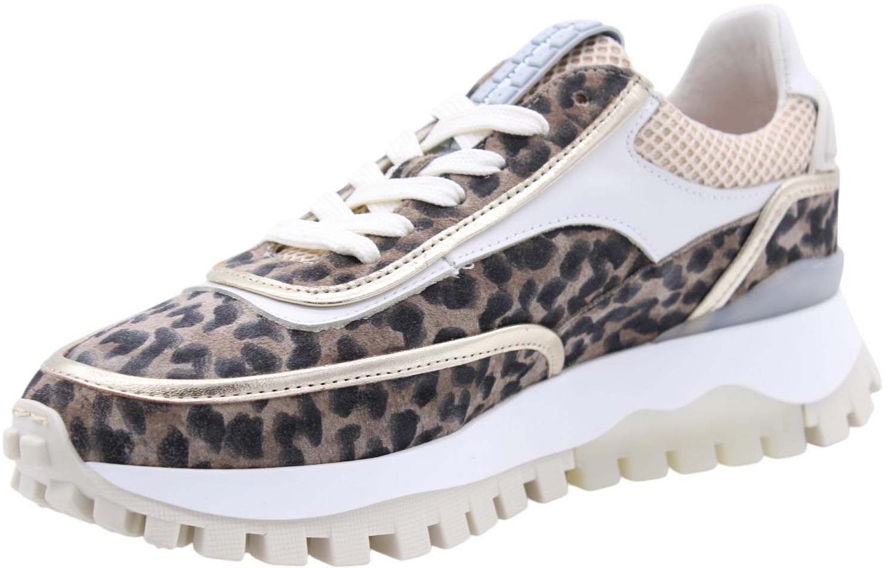 Floris van Bommel Sneaker Divers Divers