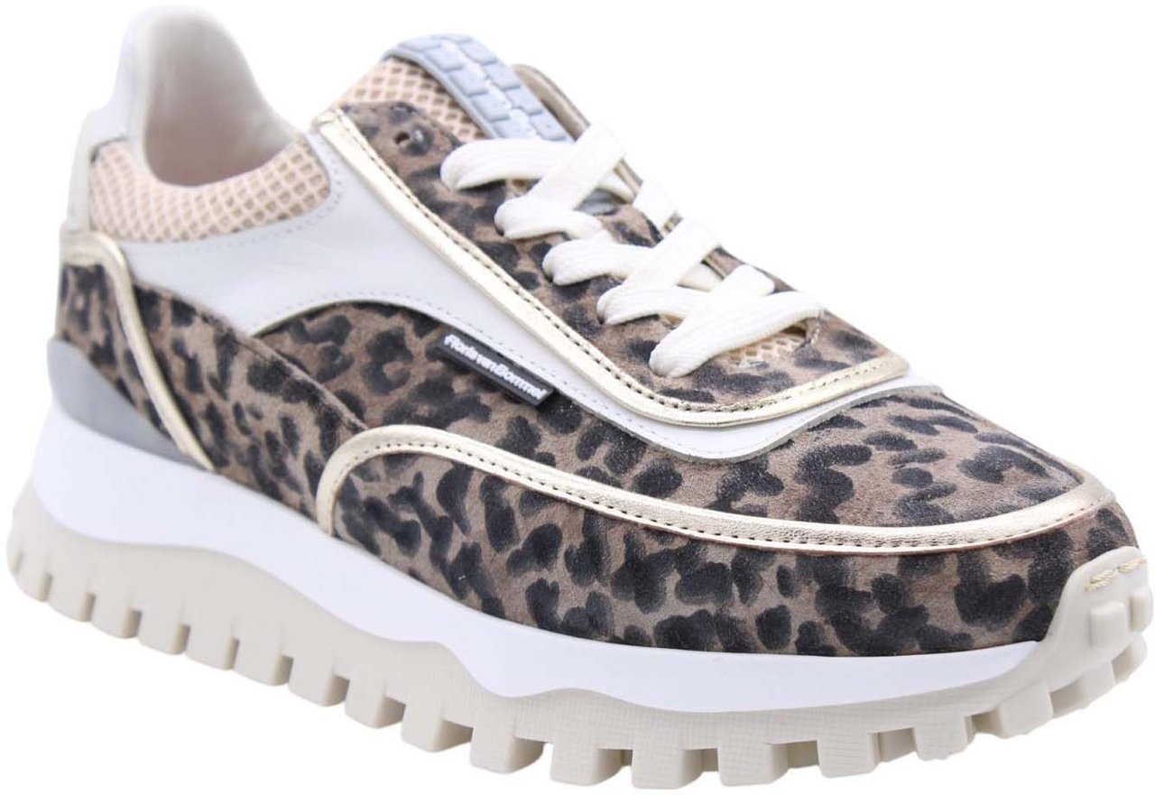 Floris van Bommel Sneaker Divers Divers