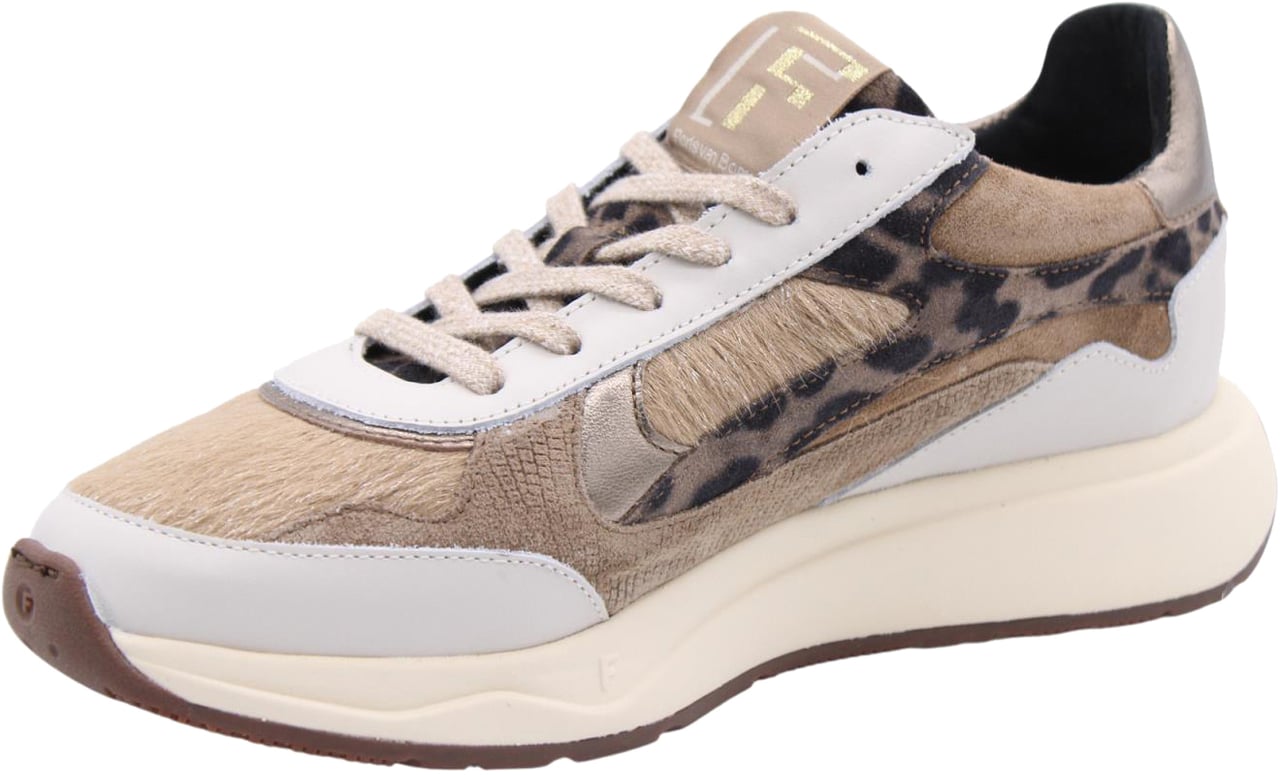 Floris van Bommel Sneaker Beige Beige