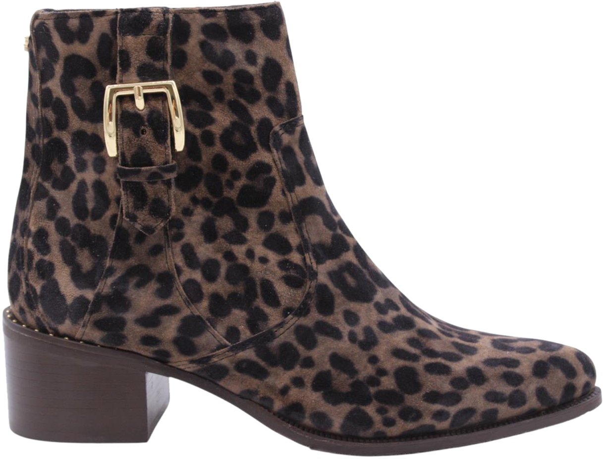 Floris van Bommel Enkellaars Brown Bruin