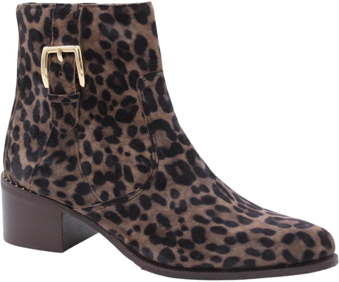 Floris van Bommel Enkellaars Brown Bruin