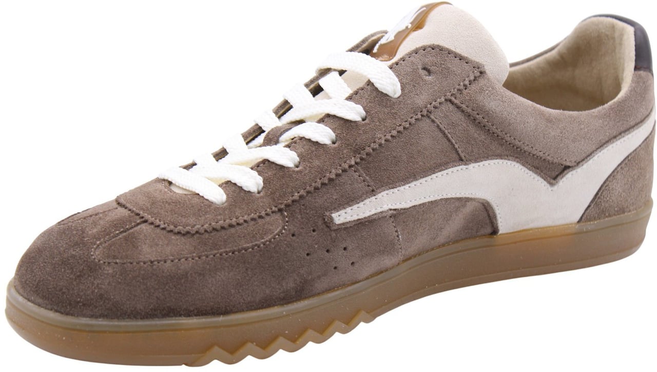 Floris van Bommel Sneaker Taupe Taupe
