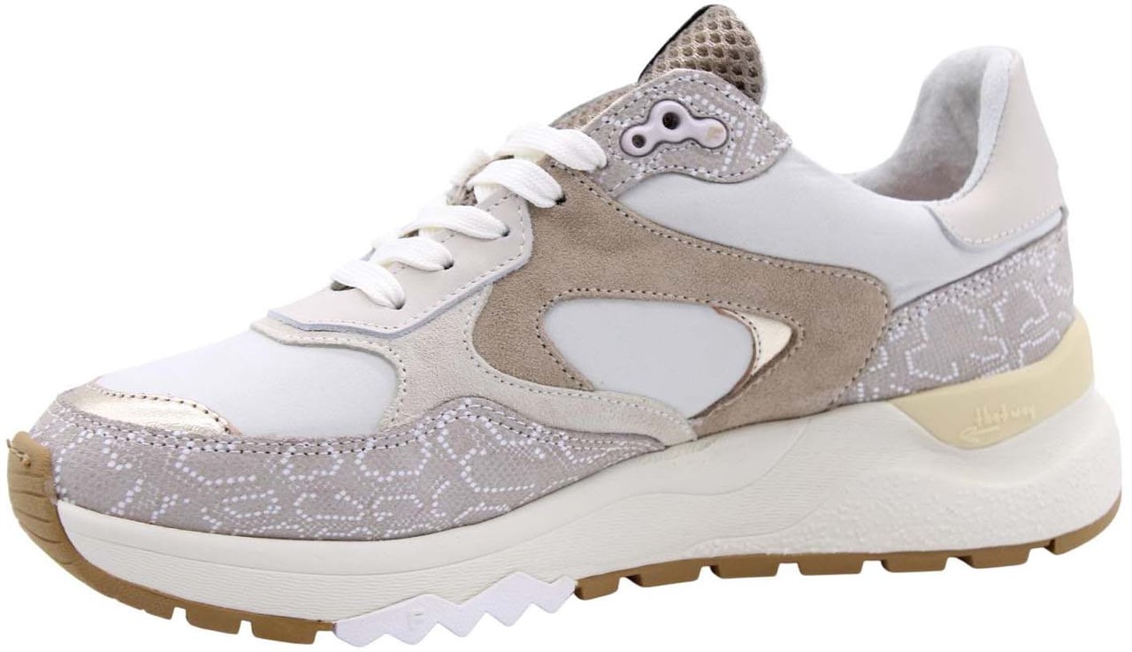 Floris van Bommel Sneaker Taupe Taupe