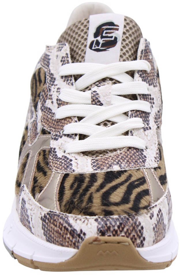 Floris van Bommel Sneaker Brown Bruin