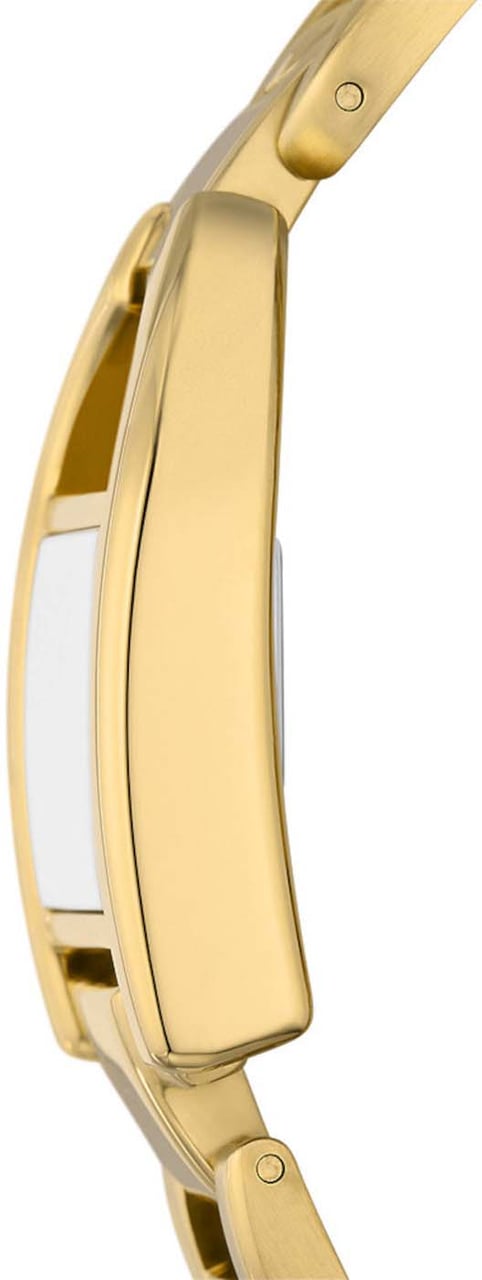 Fossil Harwell Horloge Divers