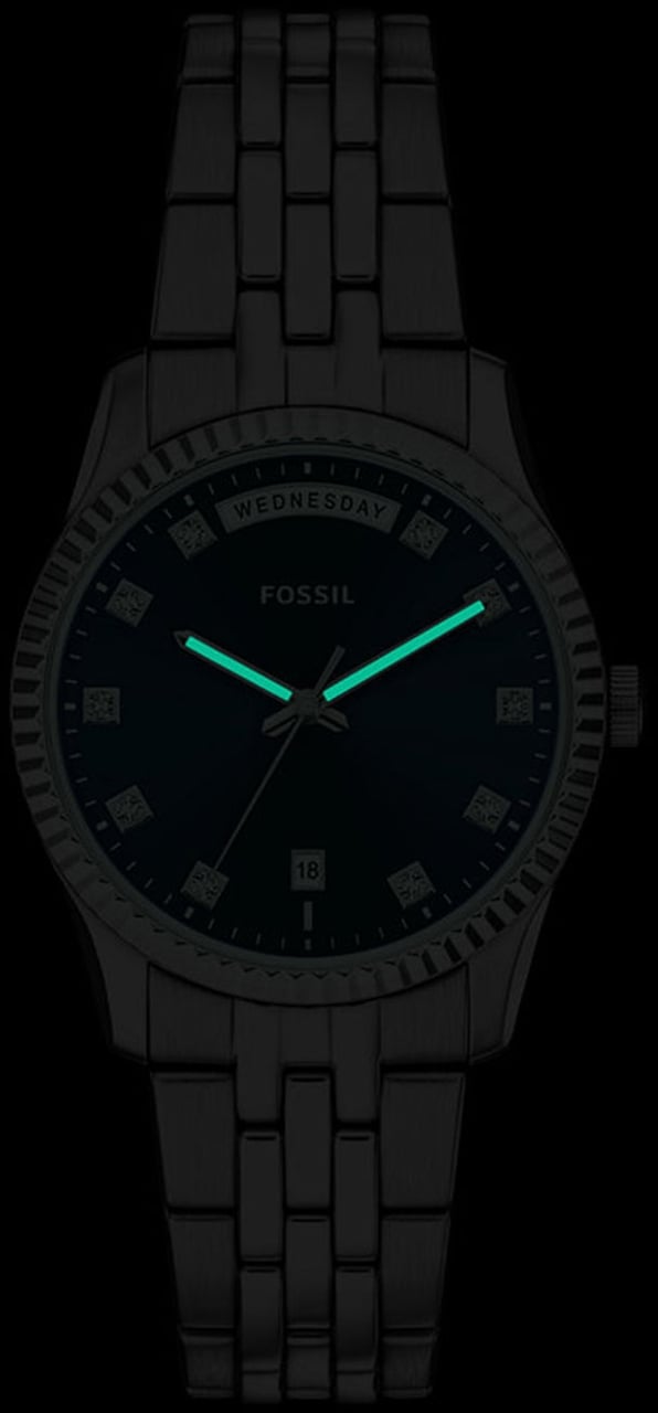 Fossil - Horloge - Zilver Divers