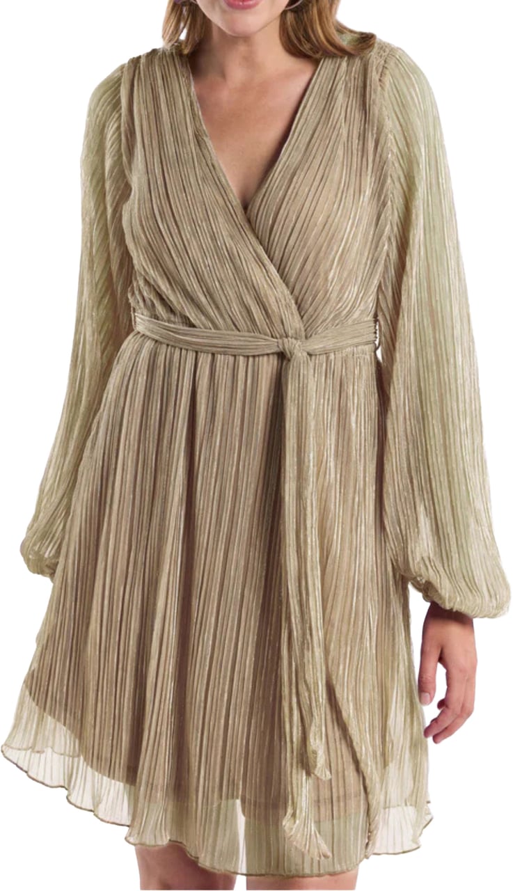 Freebird Freebird Dress Goud Dalena Ls Goud