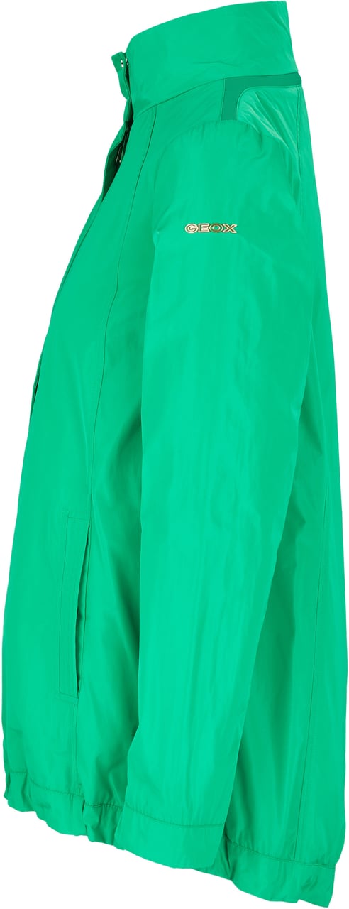 Geox Geox Jacke Groen