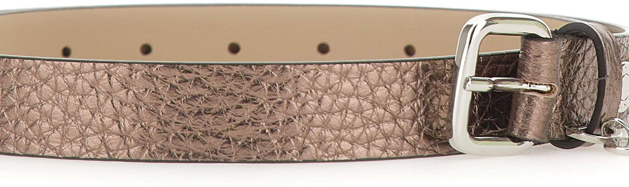 Gianni Chiarini Belts Brown Taupe