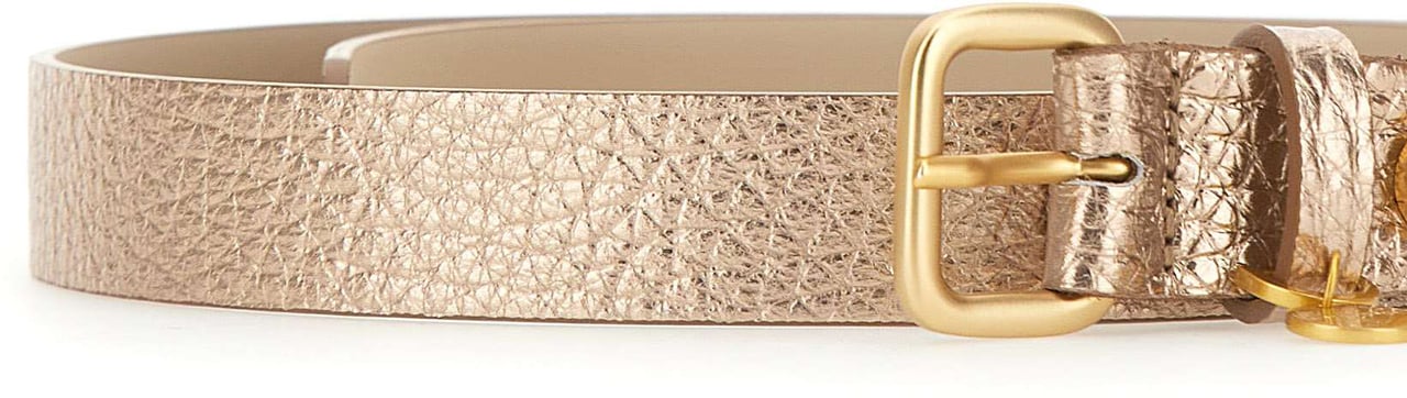 Gianni Chiarini Belts Golden Goud