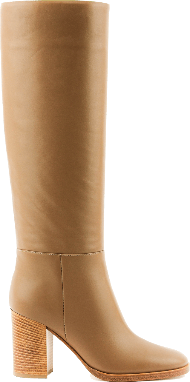 Gianvito Rossi Santiago Boot Brown Bruin