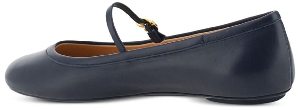 Gianvito Rossi Carla Ballerina Flats Blauw