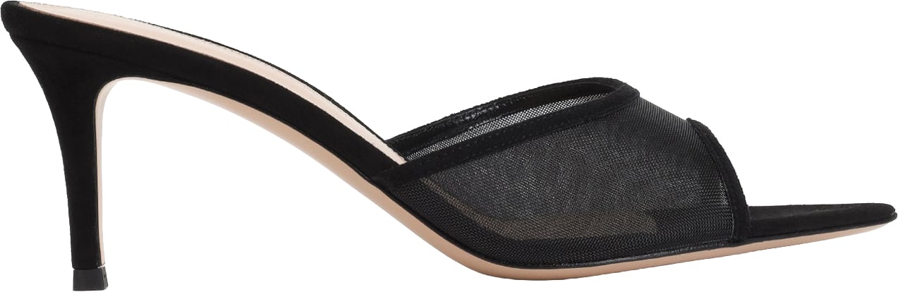 Gianvito Rossi Elle 70 Mules Divers
