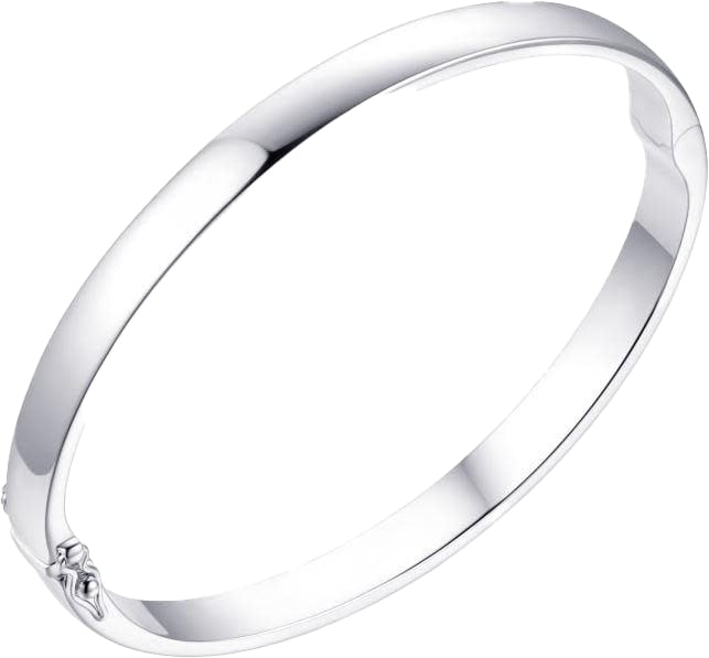 Gisser Jewels Gisser Jewels Bangle SB21-68 925 Zilver Massief 6mm breed Maat 68 Divers
