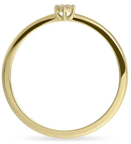 Gisser Jewels Gisser Jewels Ring VGR032-54 14k Geelgoud met Zirkonia Maat 54 Goud