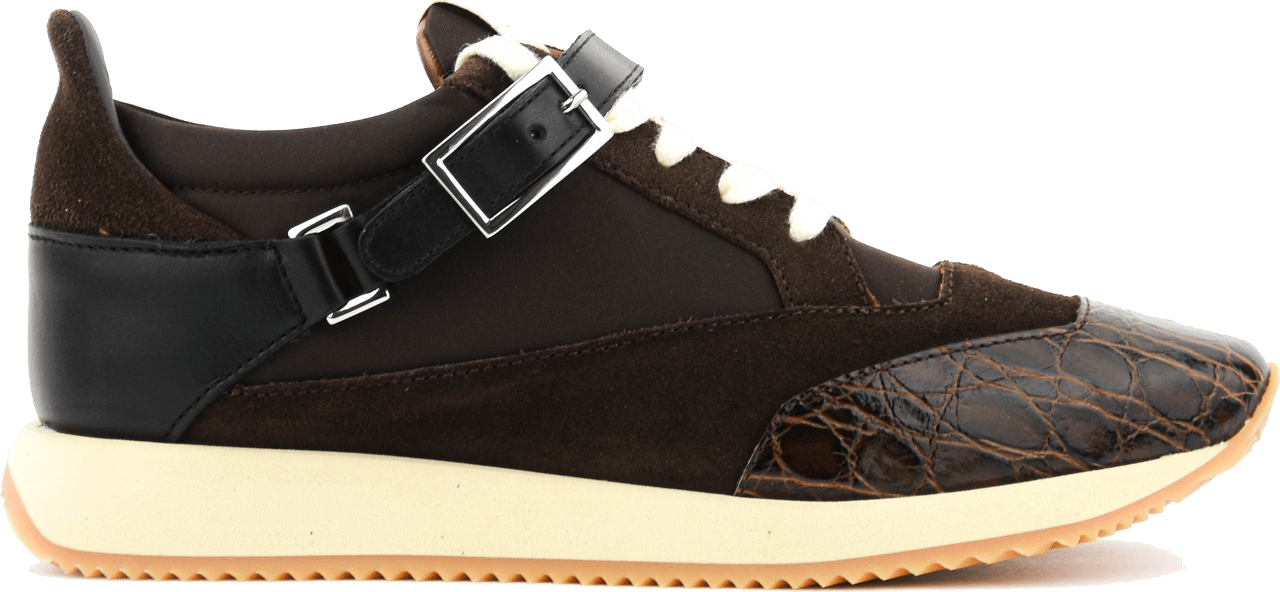 Giuseppe Zanotti Sophisticated Sneaker Brown Bruin