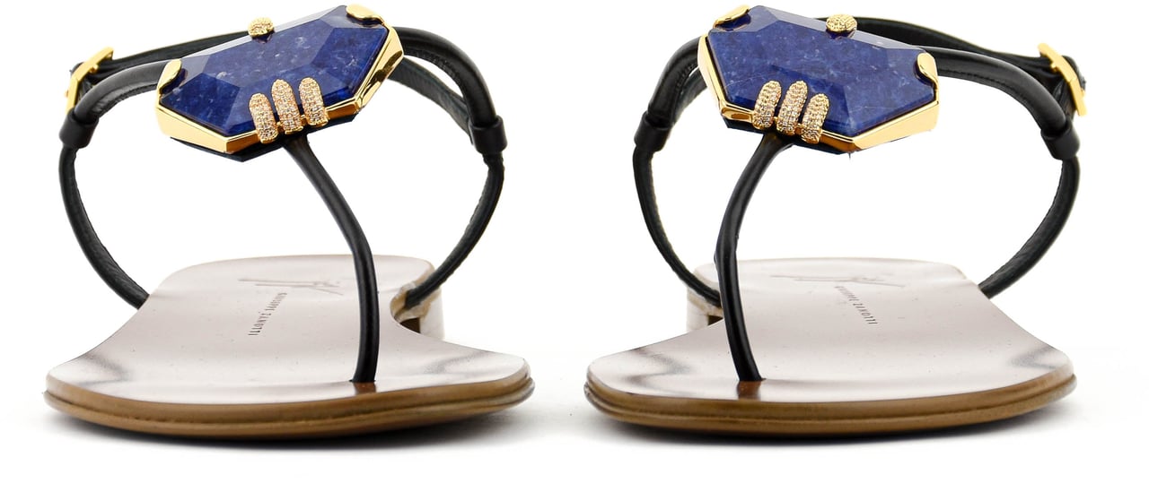 Giuseppe Zanotti Ganass Flat Nero/cobalt Zwart