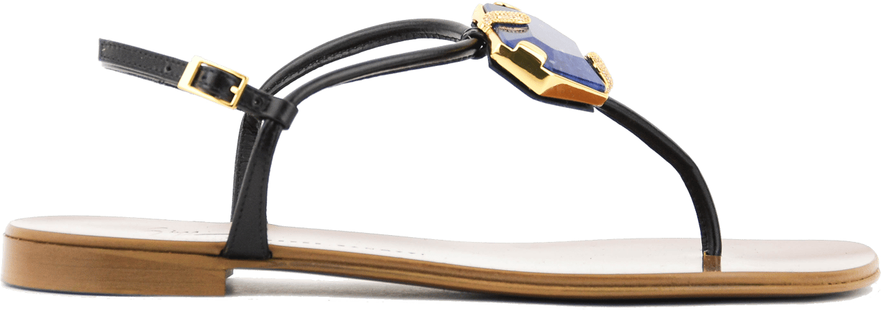 Giuseppe Zanotti Ganass Flat Nero/cobalt Zwart